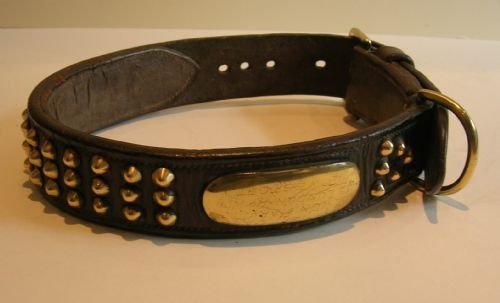 huge antique english leather brass dog collar c1900