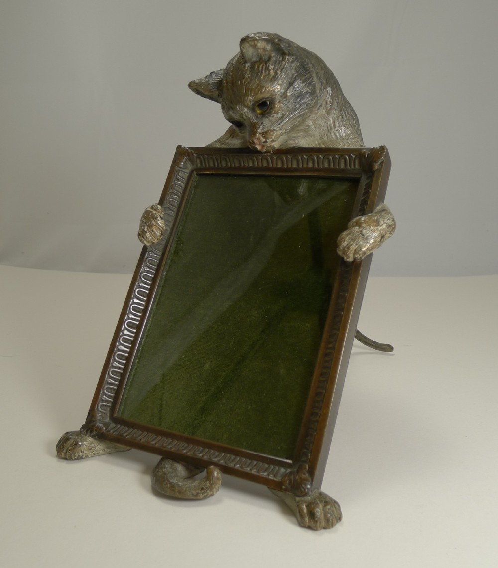 very rare cold painted bronze novelty photograph frame cat with glass eyes