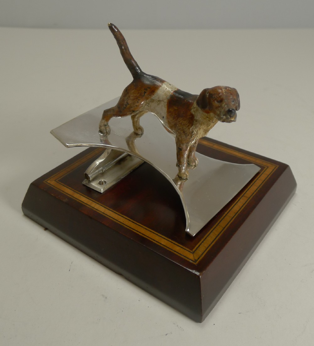 antique figural cold painted bronze dog beagle letter clip c1900