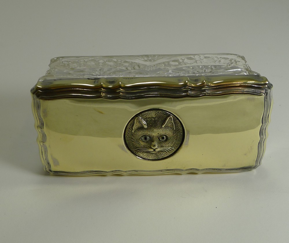 antique english glass brass box cat with original glass eyes c1911